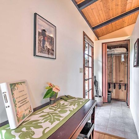 Cozy Volcano Studio With Phenomenal Rainforest Views Mountain View Luaran gambar